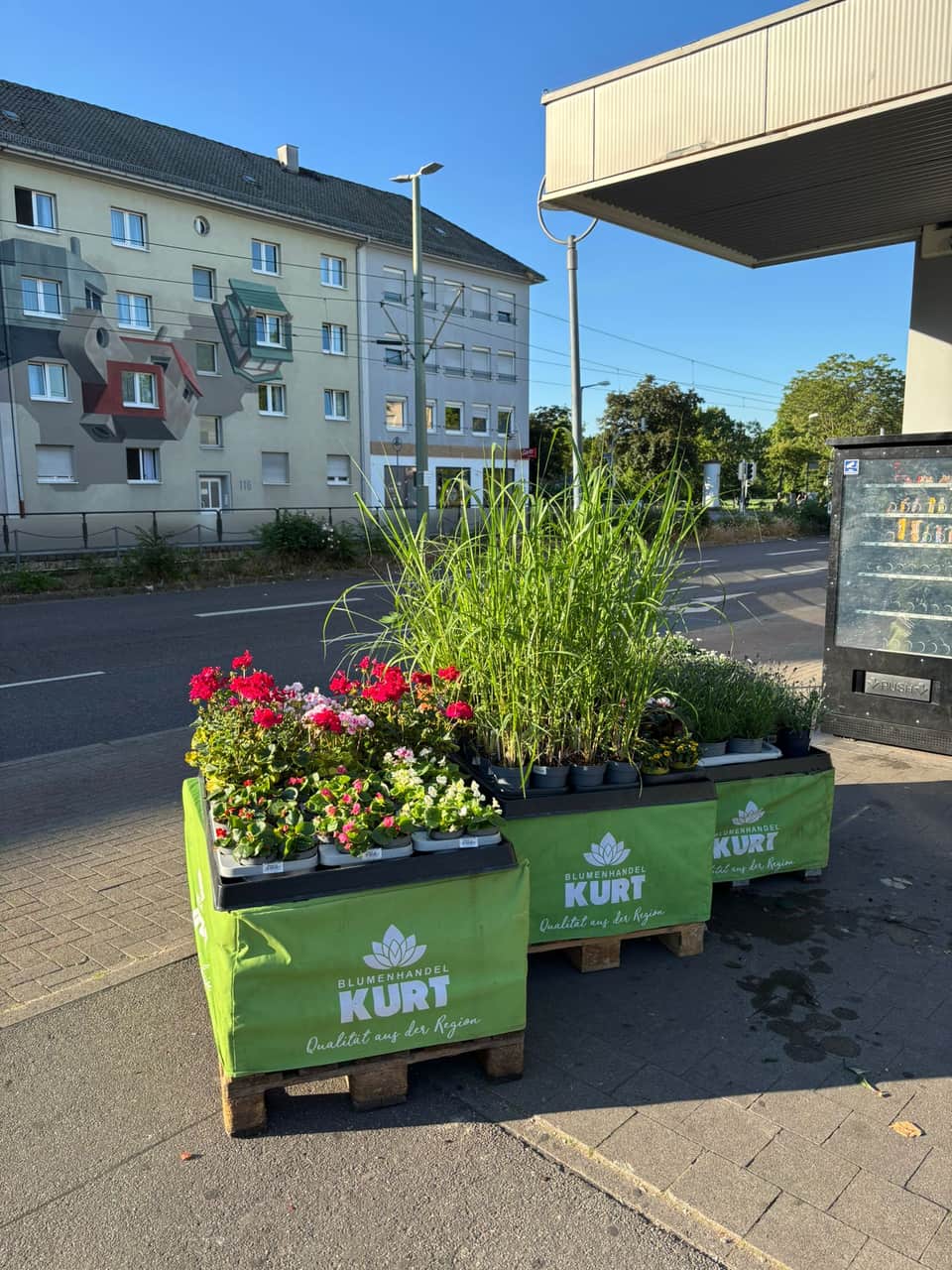 Blumenhandel-Kurt-Displays mit frischer Ware vor einem Partnermarkt
